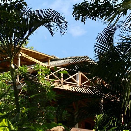 Eden Jungle Lodge 보카스 타운 외부 사진