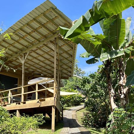 Eden Jungle Lodge 보카스 타운 외부 사진
