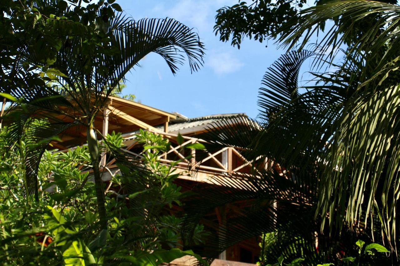 Eden Jungle Lodge 보카스 타운 외부 사진