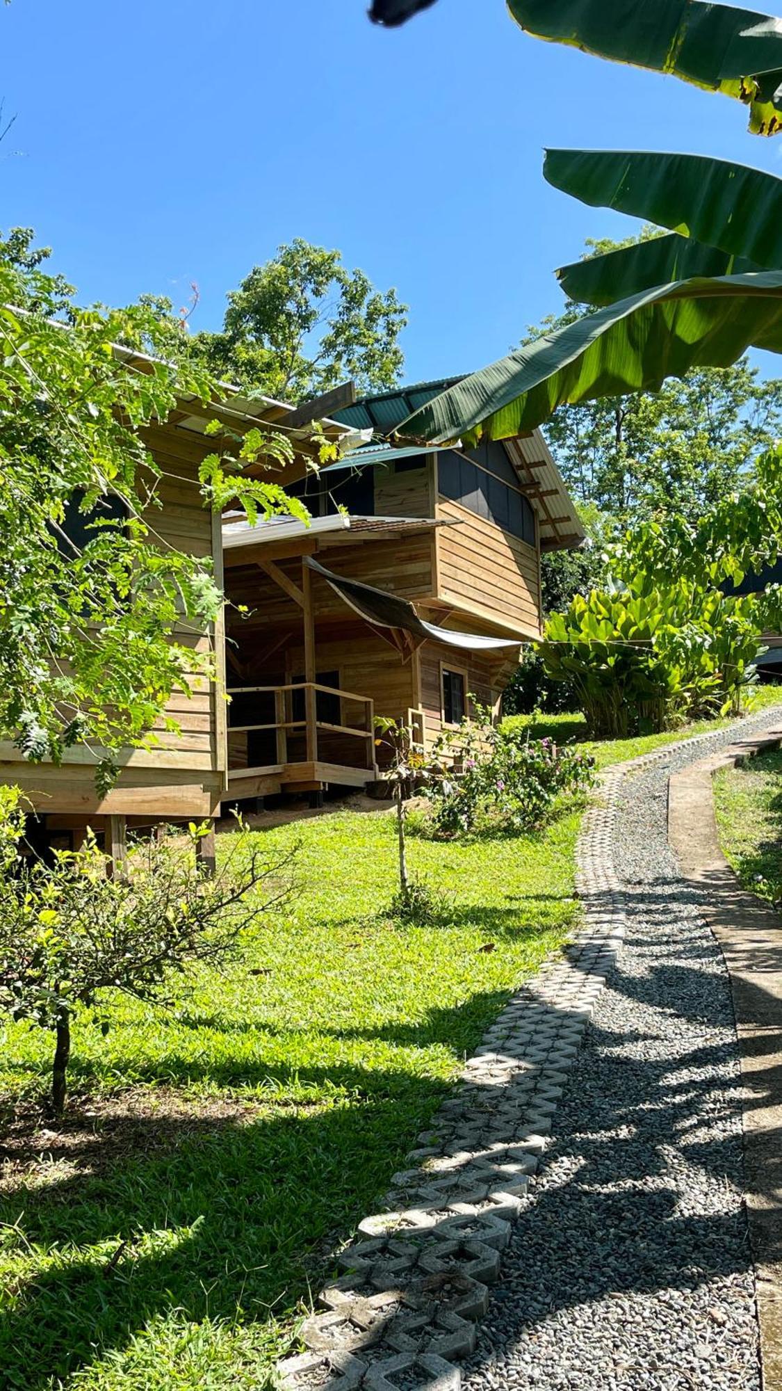 Eden Jungle Lodge 보카스 타운 외부 사진