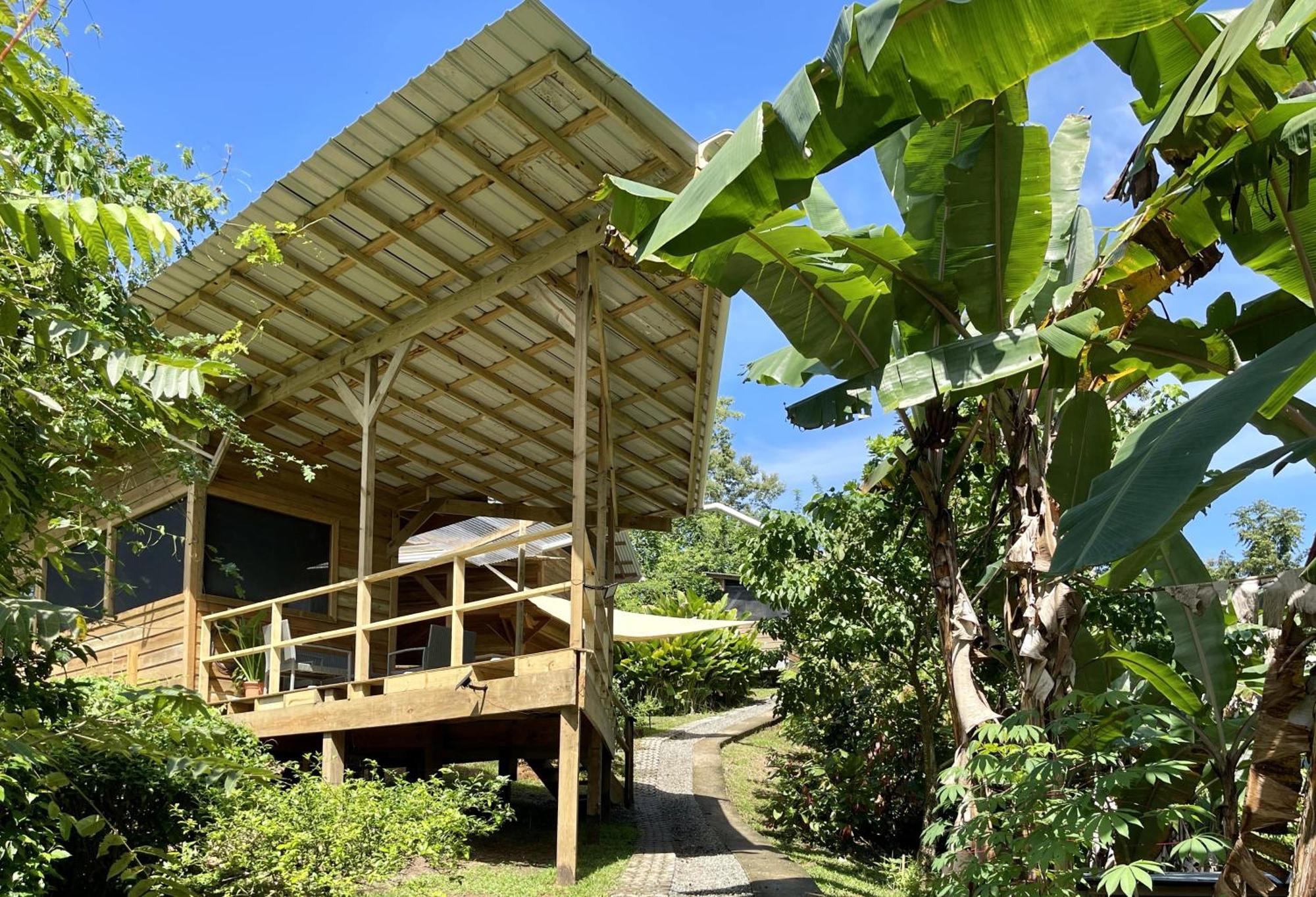 Eden Jungle Lodge 보카스 타운 외부 사진